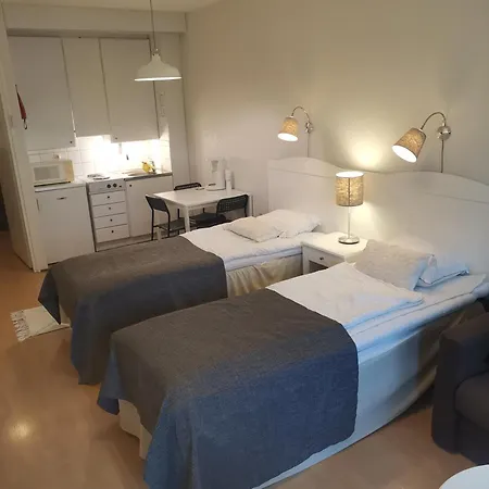 Yksioe Kauniilla Jaervinaekymaellae Ikaalisissa * Ikaalinen