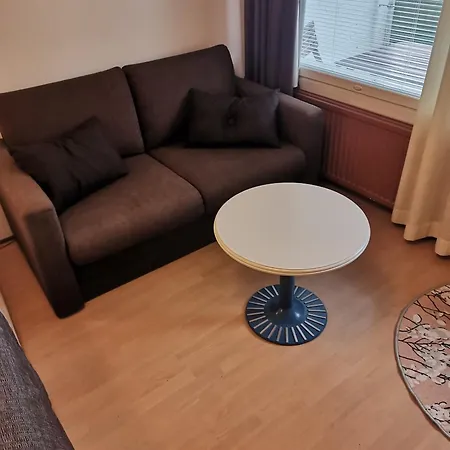 Yksioe Kauniilla Jaervinaekymaellae Ikaalisissa *